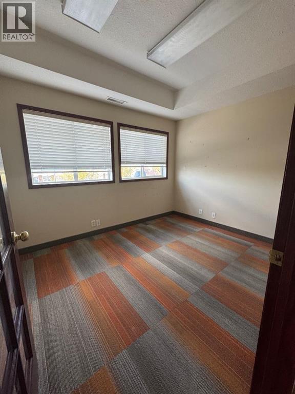 #201, 202, & 203, 10126 97 Avenue, Grande Prairie, Alberta  T8V 7X6 - Photo 9 - A2257497