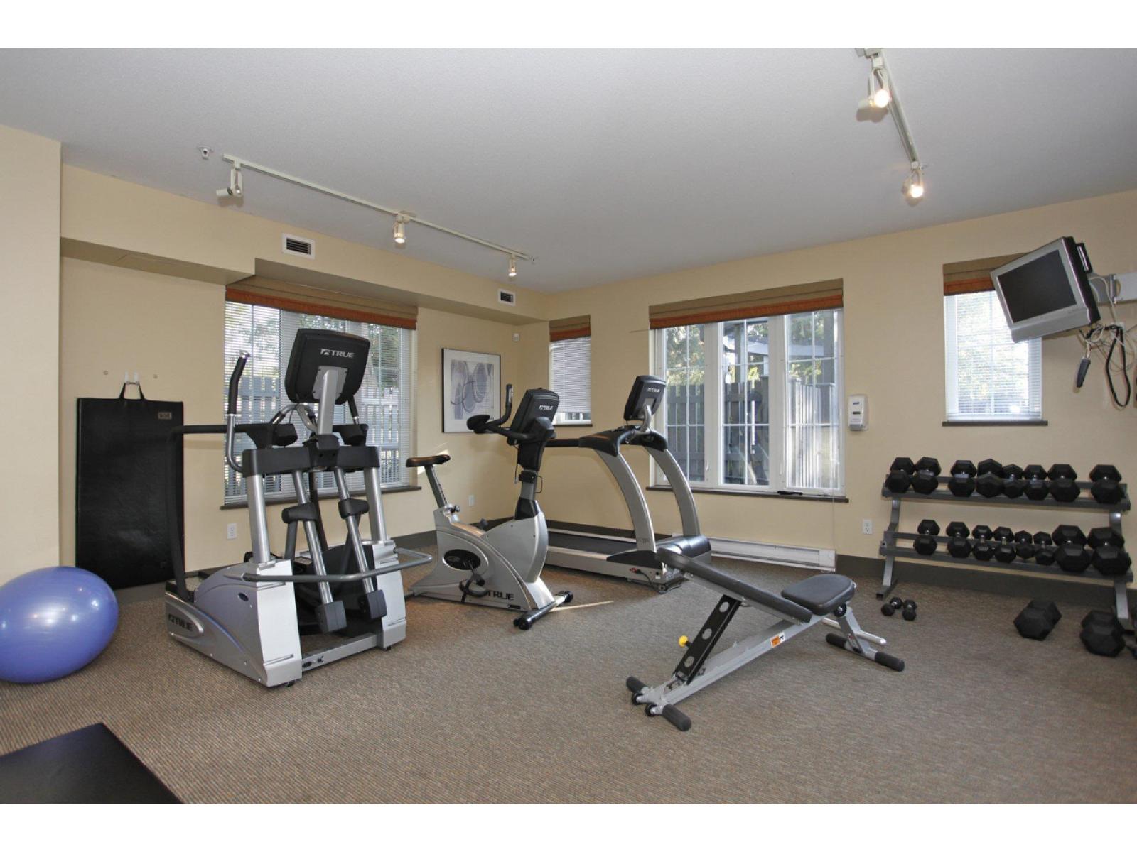 154 20875 80 Avenue, Langley, British Columbia  V2Y 0B2 - Photo 34 - R3051092