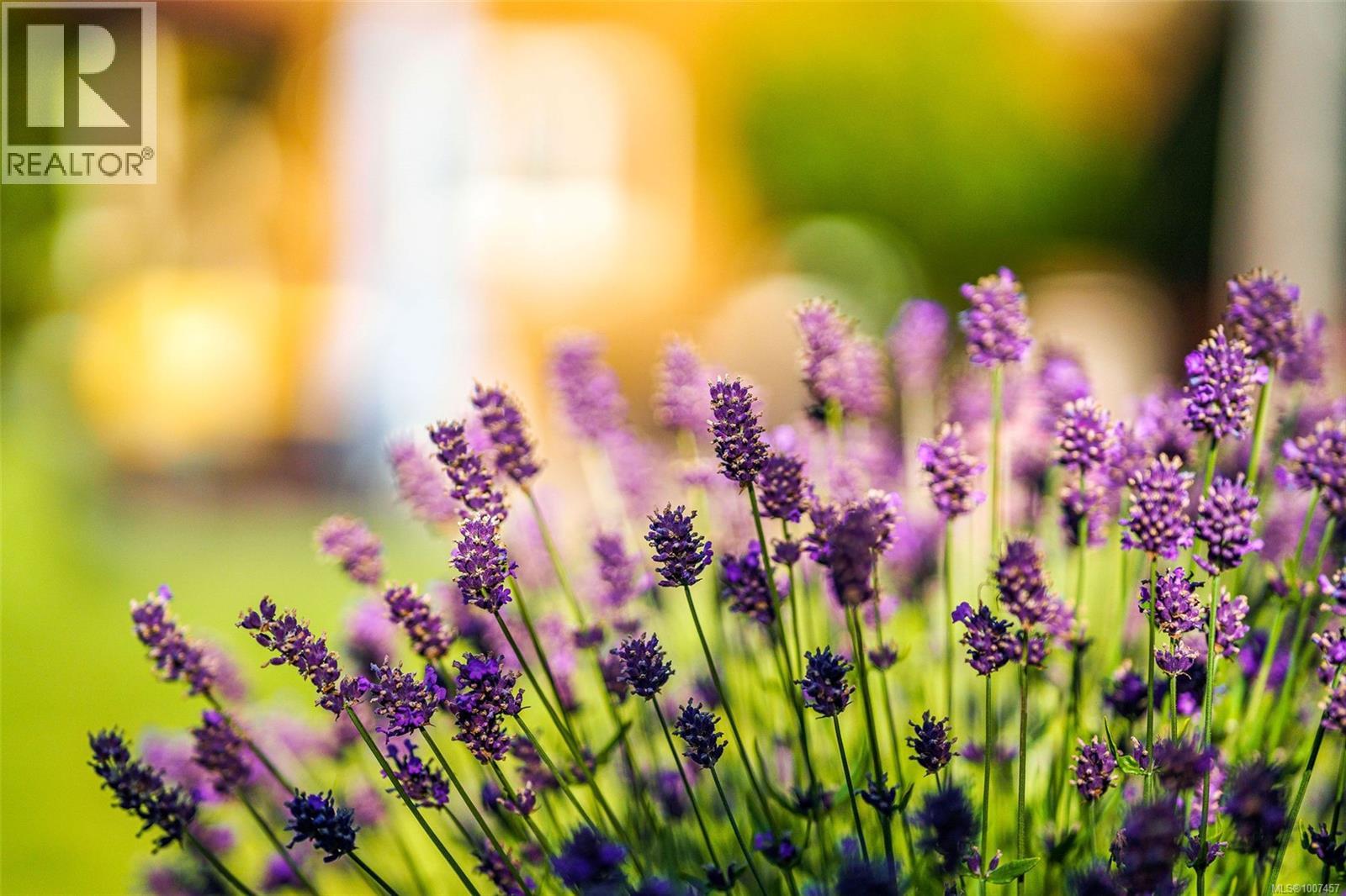 5388 Parker Ave, Saanich, British Columbia  V8Y 2M9 - Photo 75 - 1007457