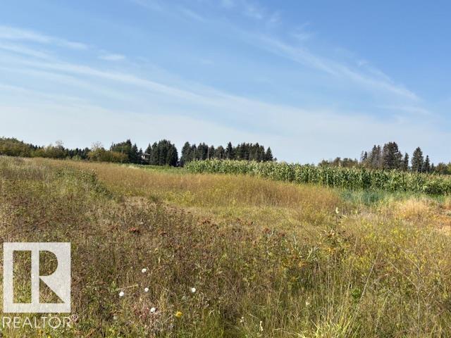 5145 127 St Sw, Edmonton, Alberta  T6Y 0A5 - Photo 7 - E4459038