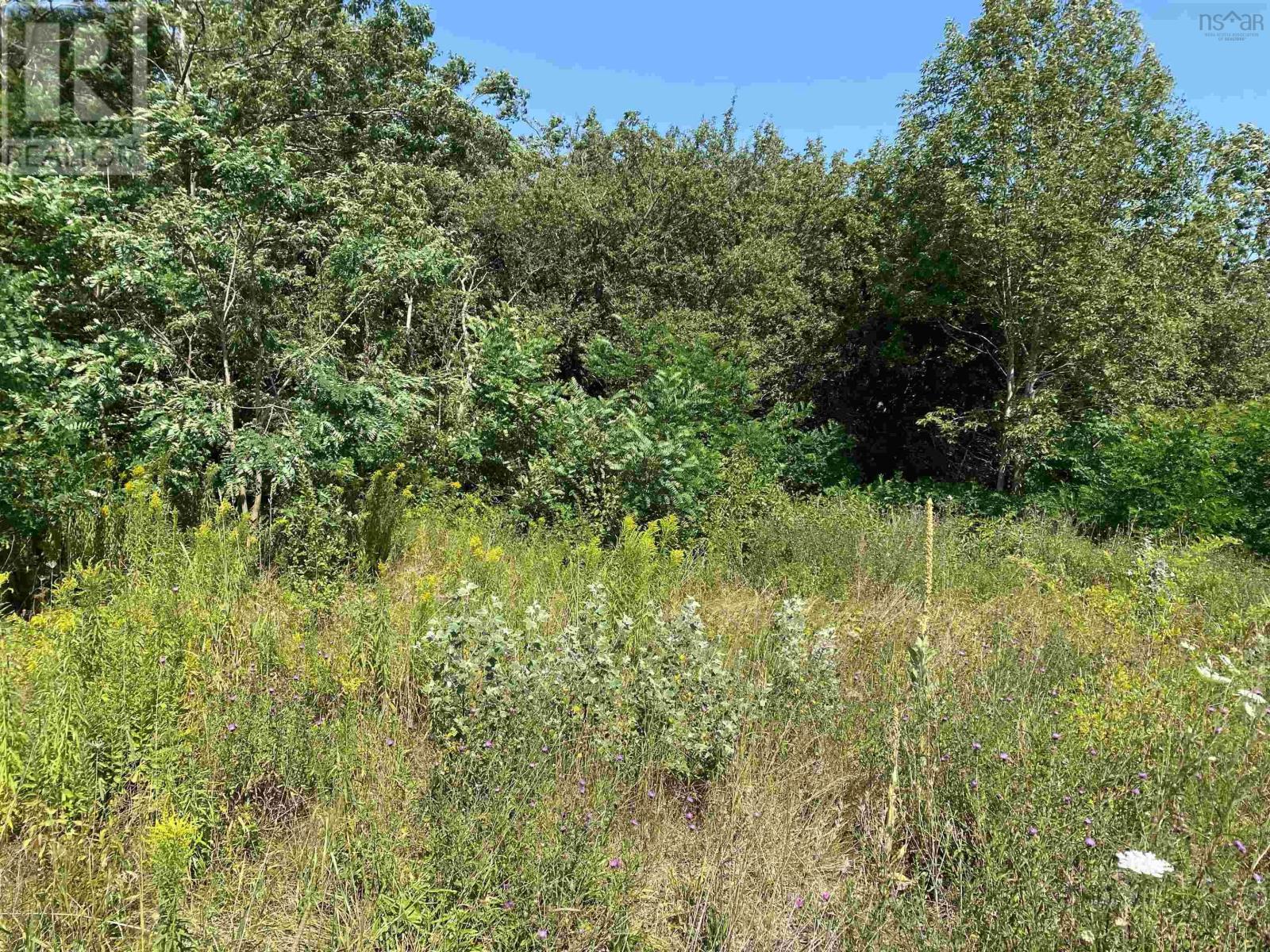 Lot 1238 Granville Road, Victoria Beach, Nova Scotia  B0S 1A0 - Photo 15 - 202518908