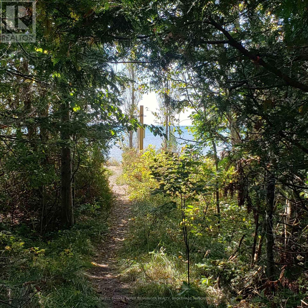 205 London Road, Huron-Kinloss, Ontario N2Z 2X3 - Photo 38 - X11823108