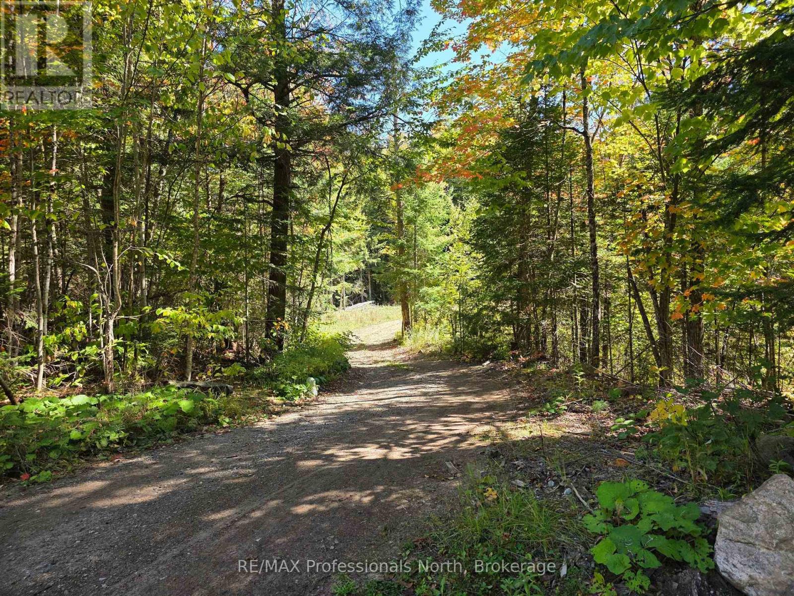 92 Concession 2 & 3 Road W, Huntsville, Ontario  P1H 2J3 - Photo 44 - X12417433