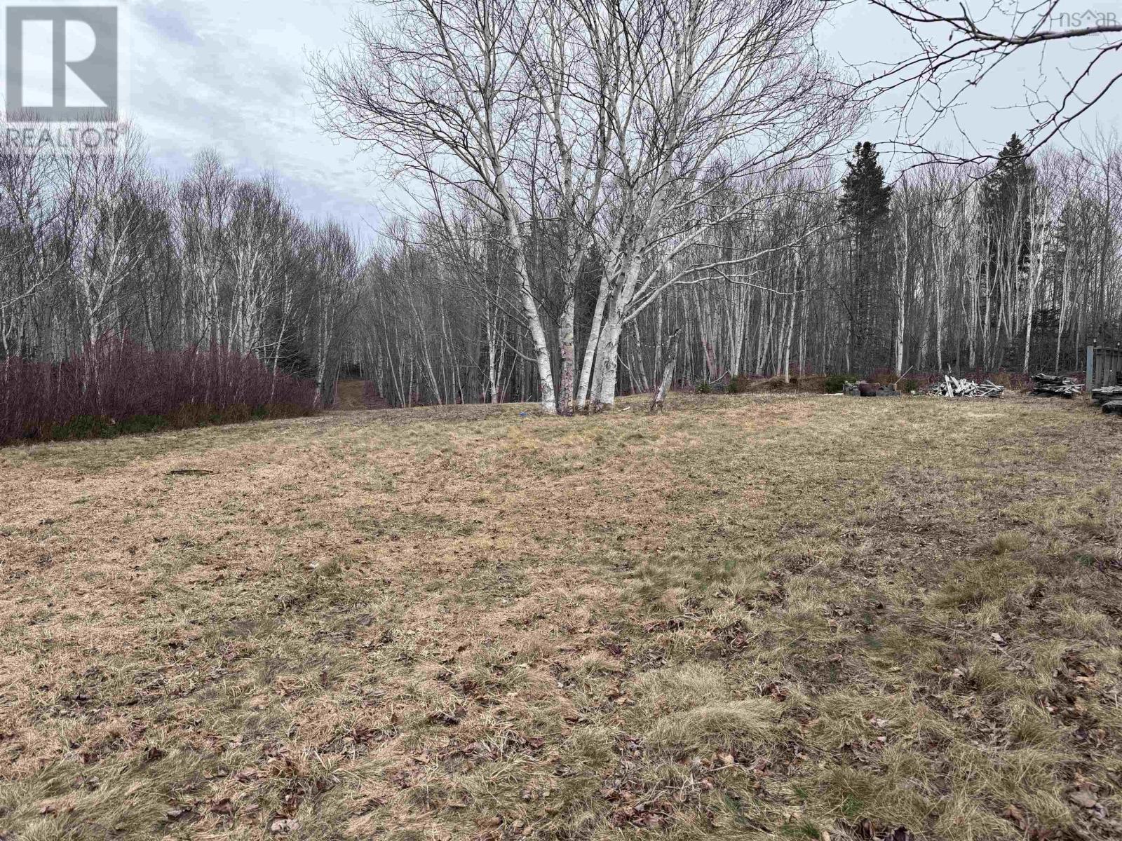 2058 New Campbellton Road, Cape Dauphin, Nova Scotia  B1X 1X5 - Photo 26 - 202506026