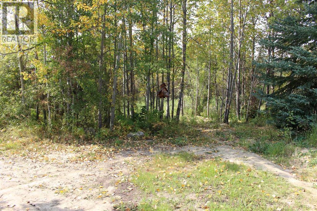 5 Eden Valley Drive, Rural Clearwater County, Alberta  T4T 2A2 - Photo 33 - A2258486