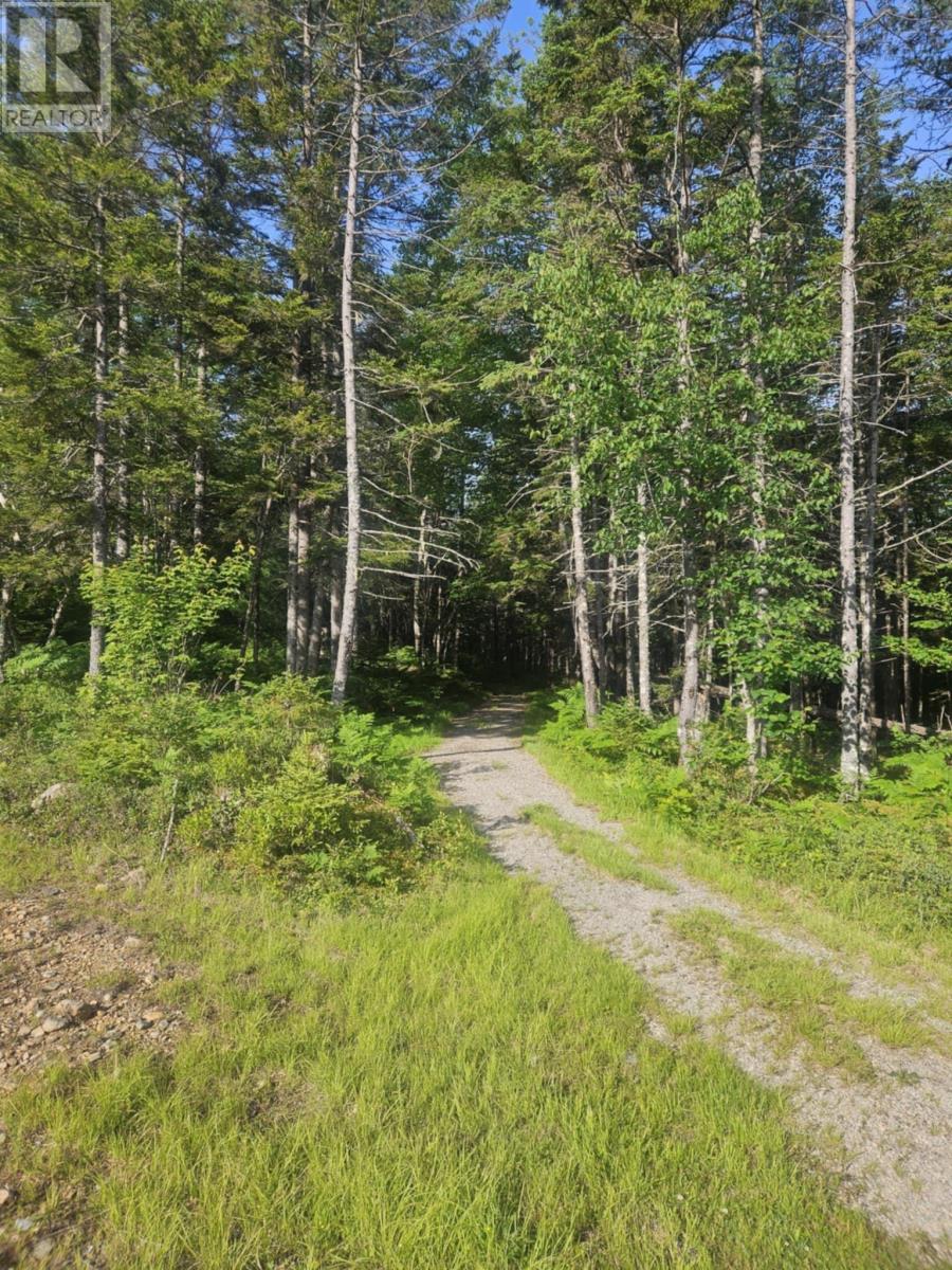 54 Scott's Drive, Summerville, Nova Scotia  B5A 5J5 - Photo 40 - 202515830