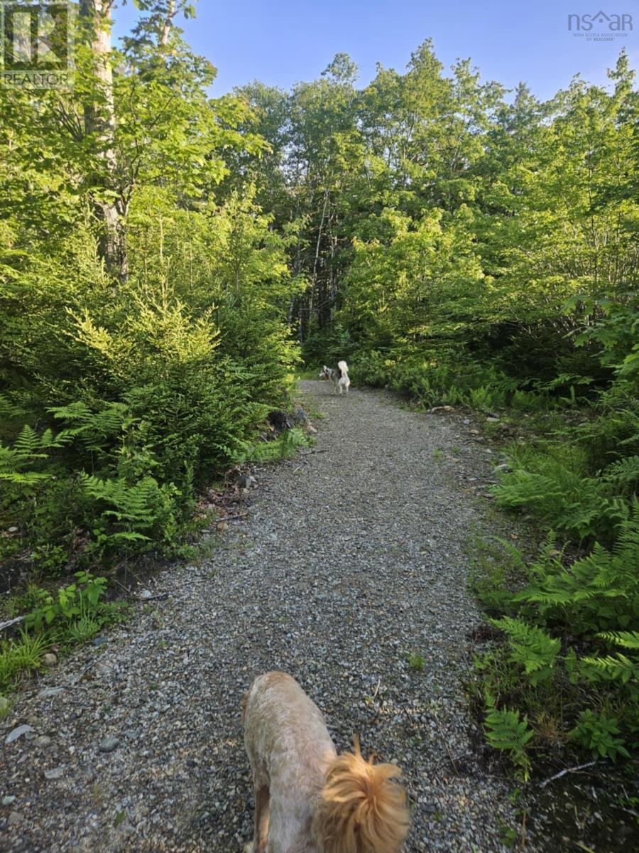 54 Scott's Drive, Summerville, Nova Scotia  B5A 5J5 - Photo 42 - 202515830