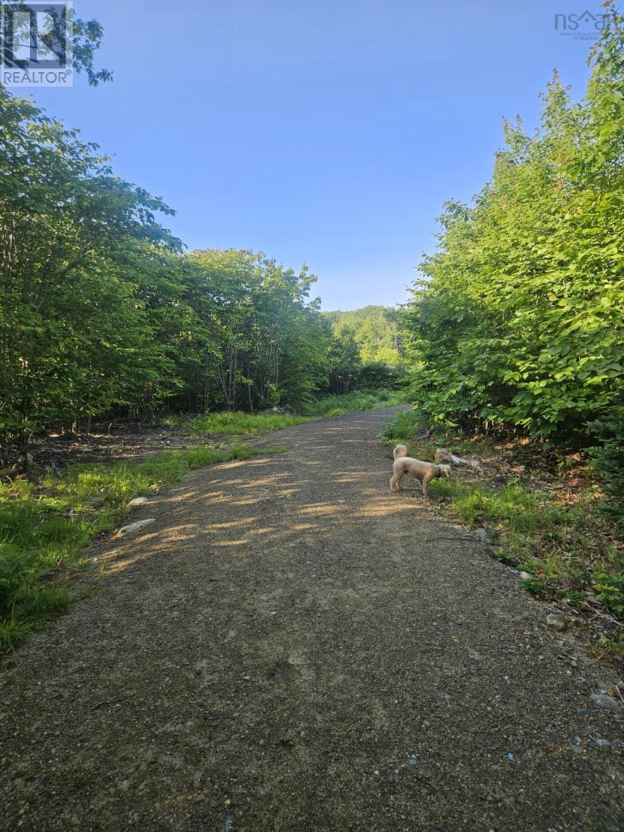 54 Scott's Drive, Summerville, Nova Scotia  B5A 5J5 - Photo 44 - 202515830