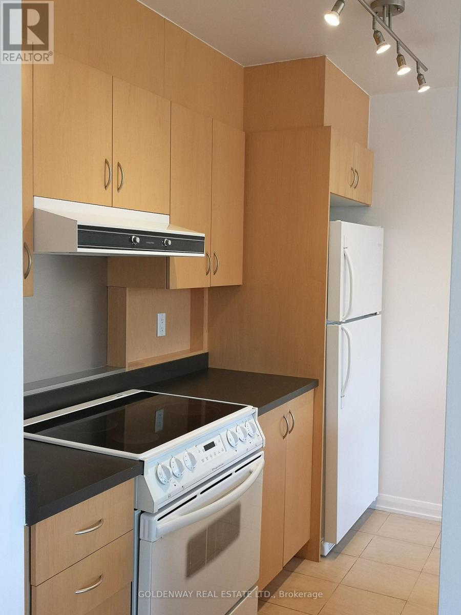P306 - 25 Soho Street, Toronto, Ontario  M5T 1Z6 - Photo 7 - C12421684