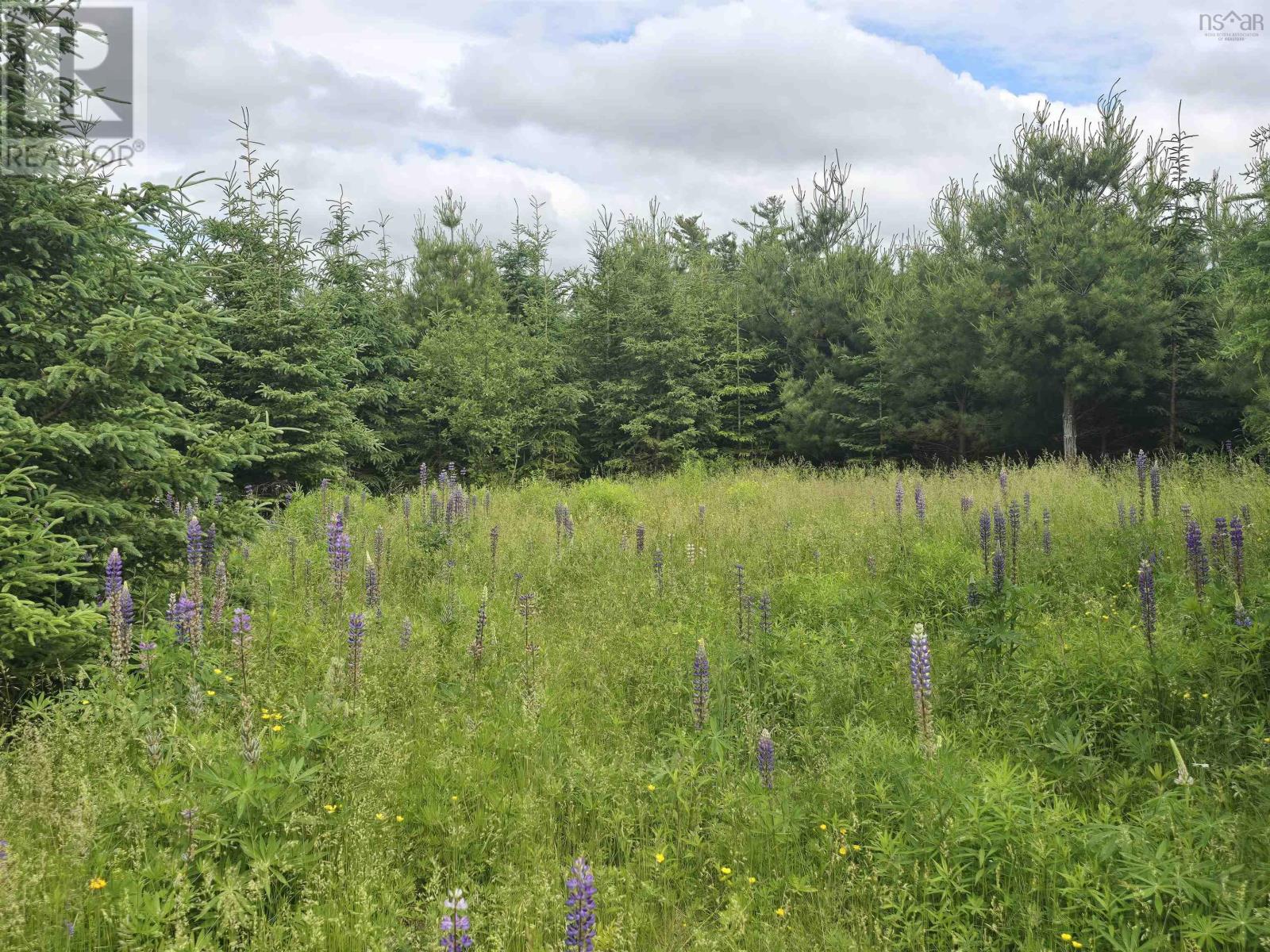 lot 6 41 Brule Shore Road, Barrachois, Nova Scotia