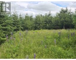 lot 6 41 Brule Shore Road, Barrachois, Nova Scotia