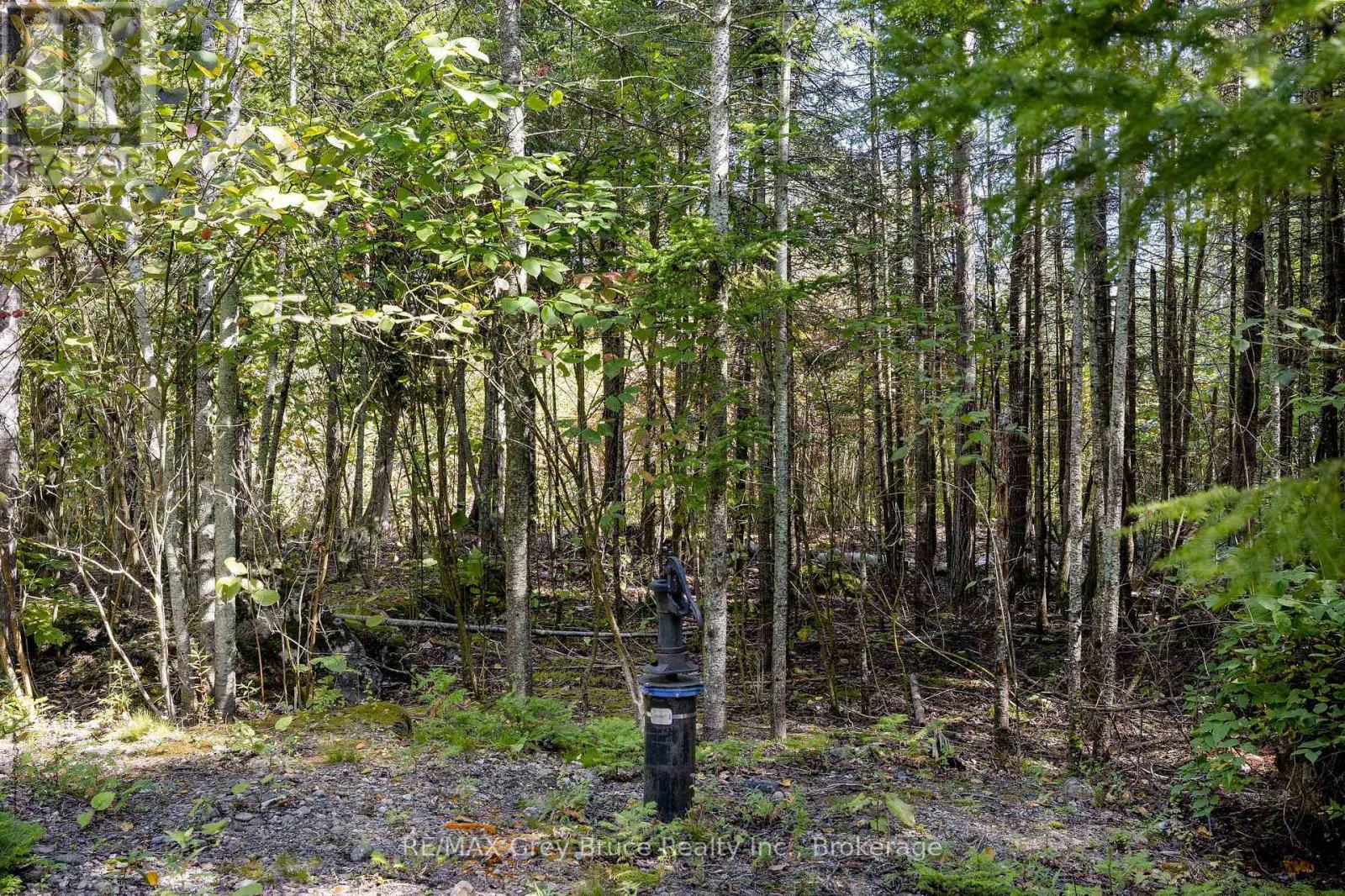 Part 2 Devils Glen, Northern Bruce Peninsula, Ontario  N0H 2T0 - Photo 10 - X12421771