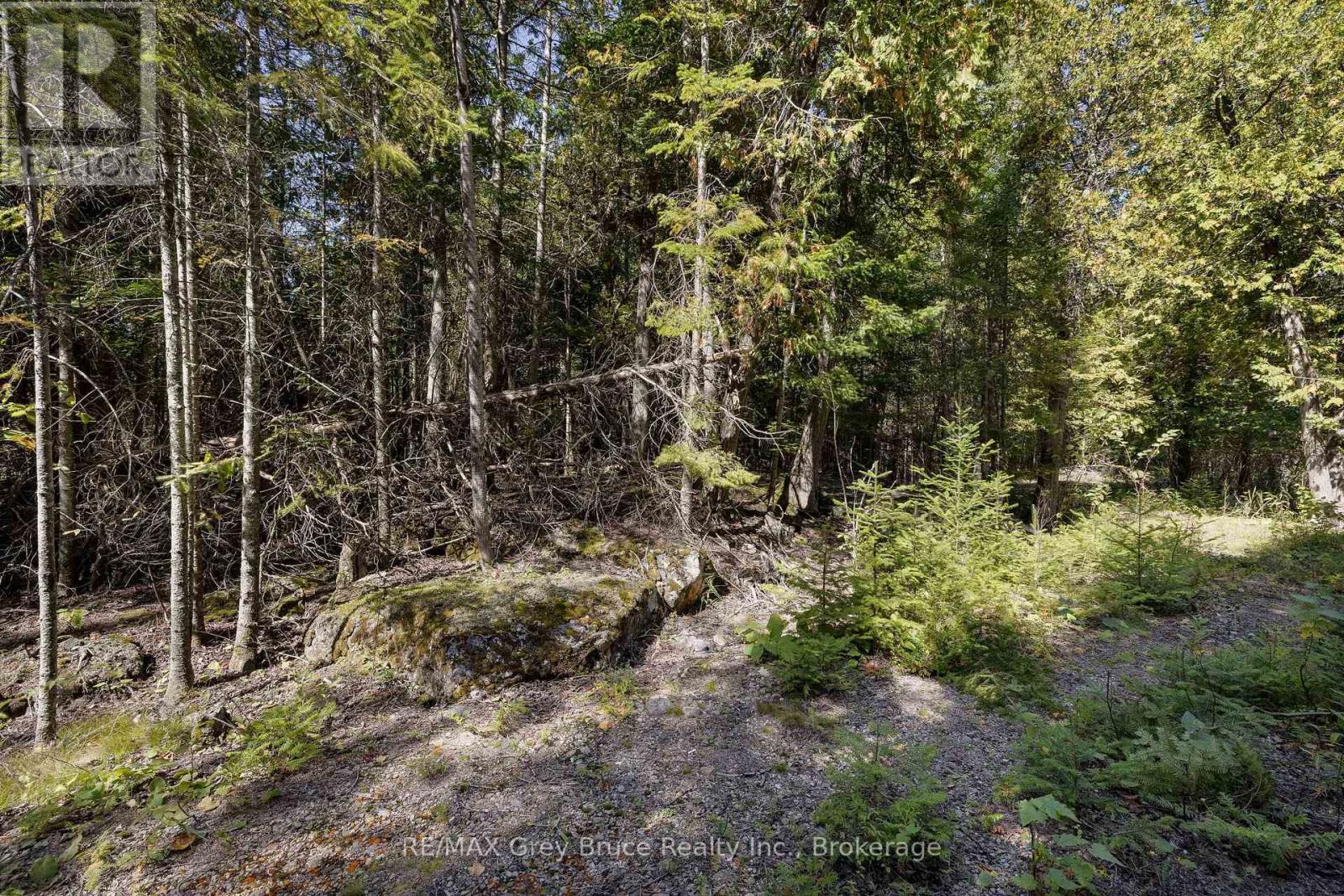 Part 2 Devils Glen, Northern Bruce Peninsula, Ontario  N0H 2T0 - Photo 11 - X12421771