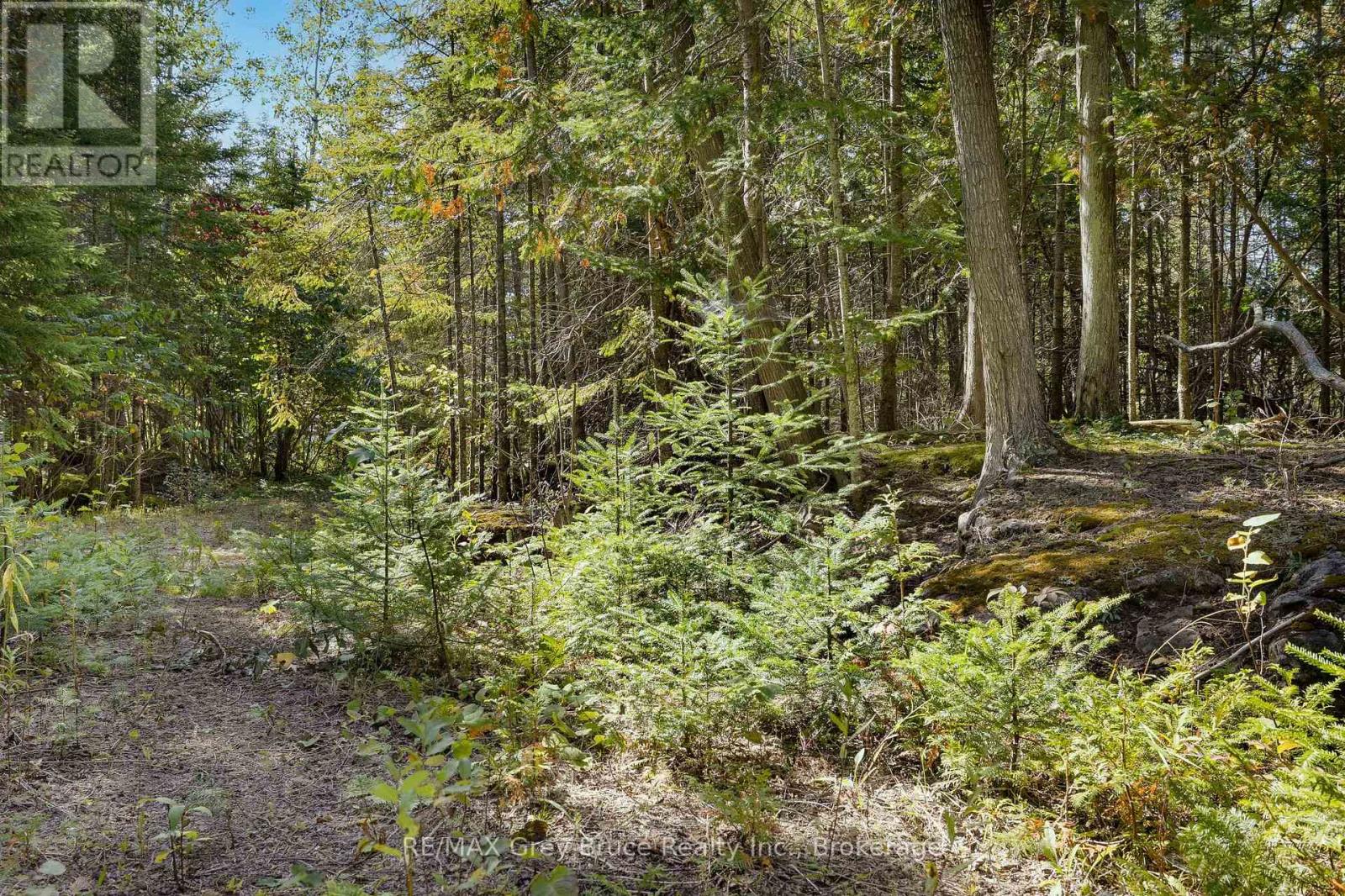Part 2 Devils Glen, Northern Bruce Peninsula, Ontario  N0H 2T0 - Photo 12 - X12421771