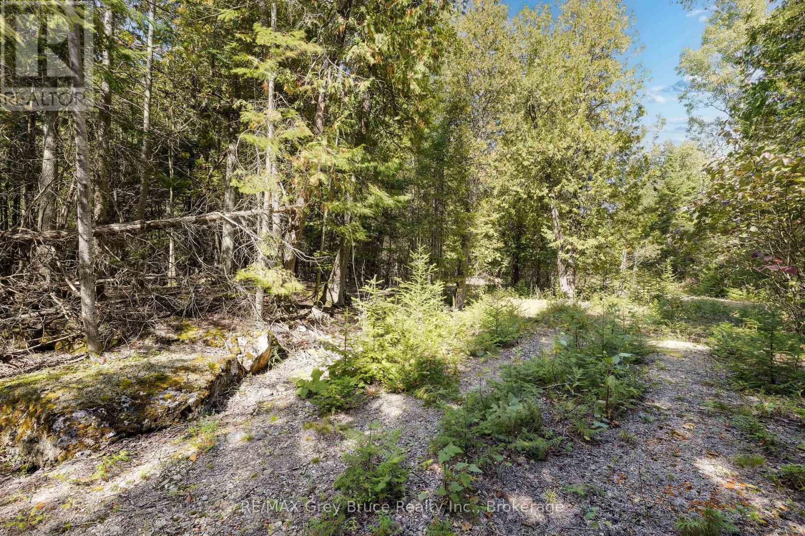 Part 2 Devils Glen, Northern Bruce Peninsula, Ontario  N0H 2T0 - Photo 13 - X12421771