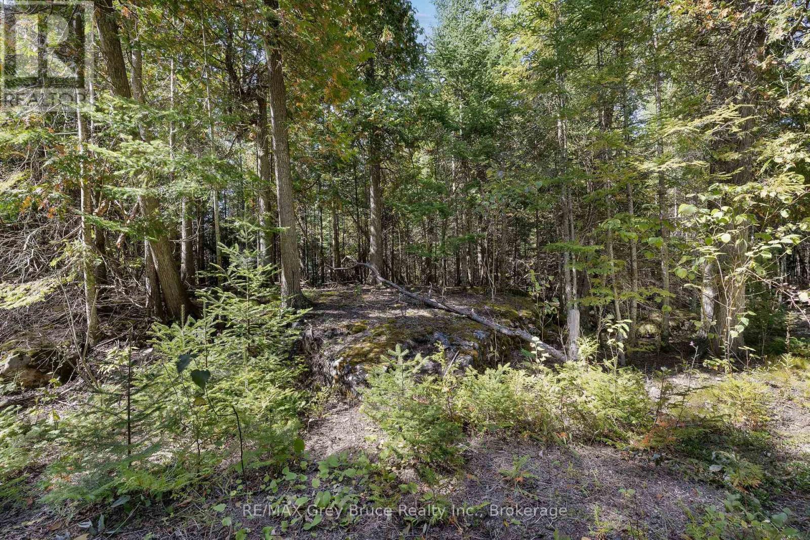 Part 2 Devils Glen, Northern Bruce Peninsula, Ontario  N0H 2T0 - Photo 14 - X12421771