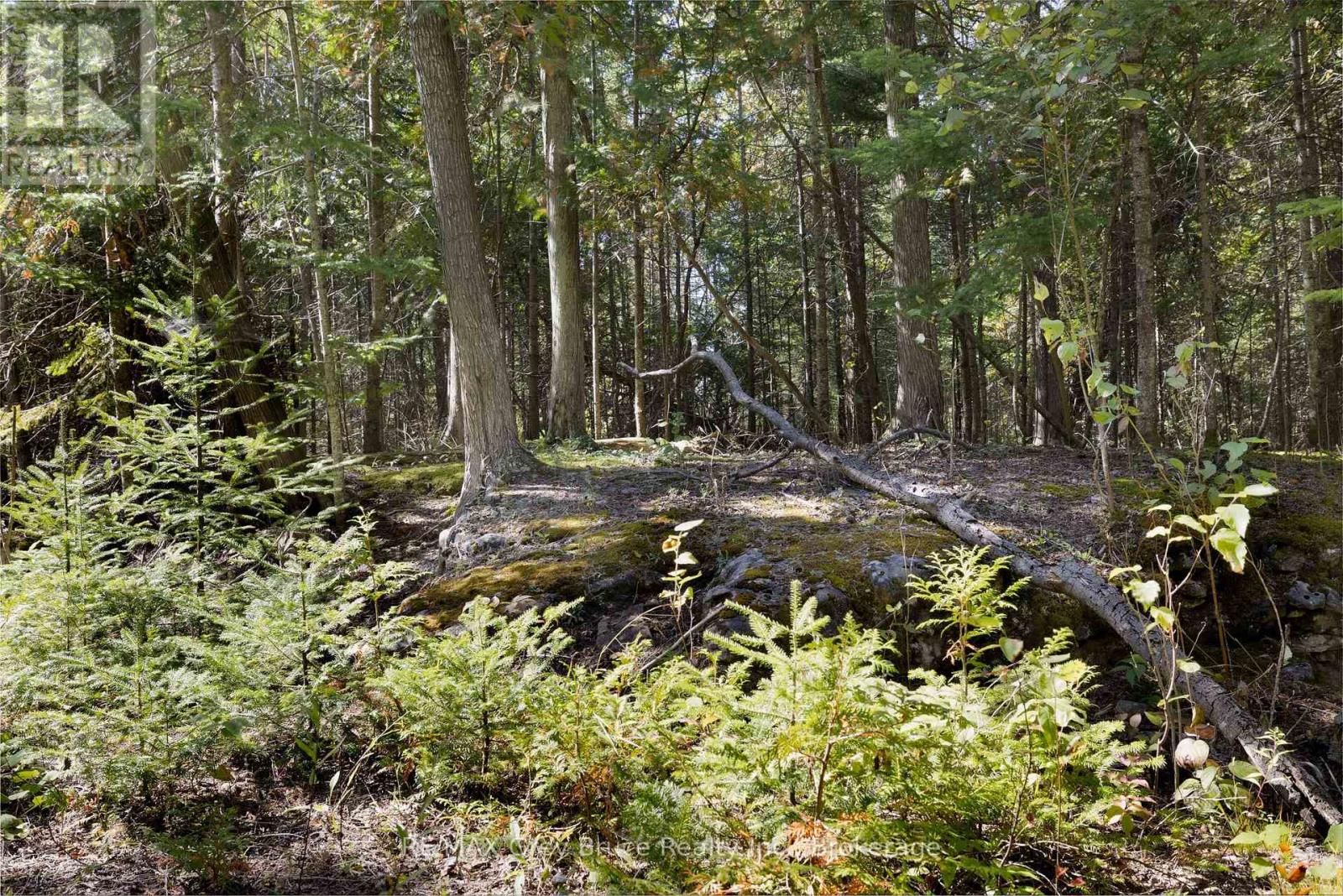 Part 2 Devils Glen, Northern Bruce Peninsula, Ontario  N0H 2T0 - Photo 15 - X12421771