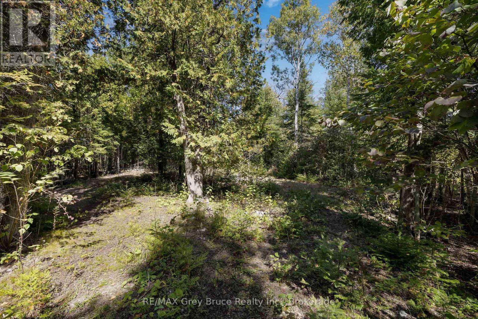 Part 2 Devils Glen, Northern Bruce Peninsula, Ontario  N0H 2T0 - Photo 16 - X12421771