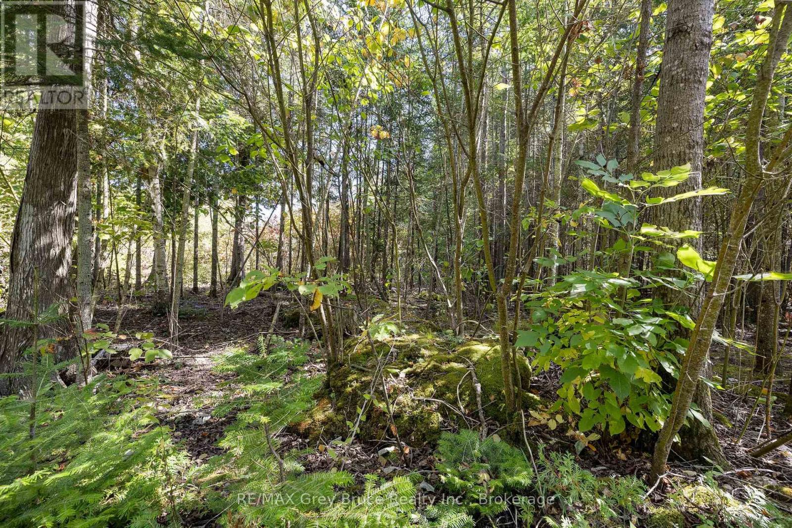 Part 2 Devils Glen, Northern Bruce Peninsula, Ontario  N0H 2T0 - Photo 17 - X12421771