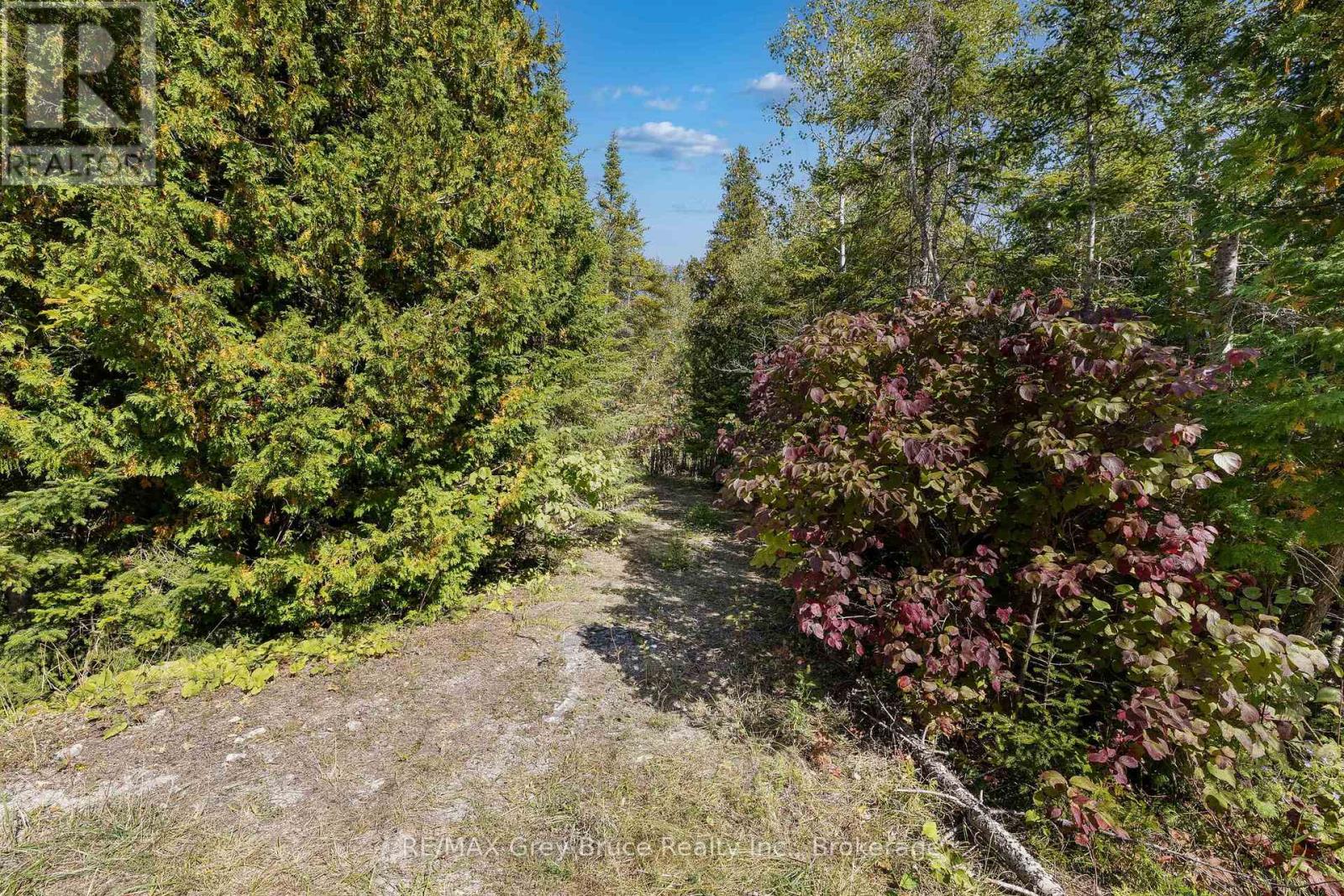 Part 2 Devils Glen, Northern Bruce Peninsula, Ontario  N0H 2T0 - Photo 2 - X12421771