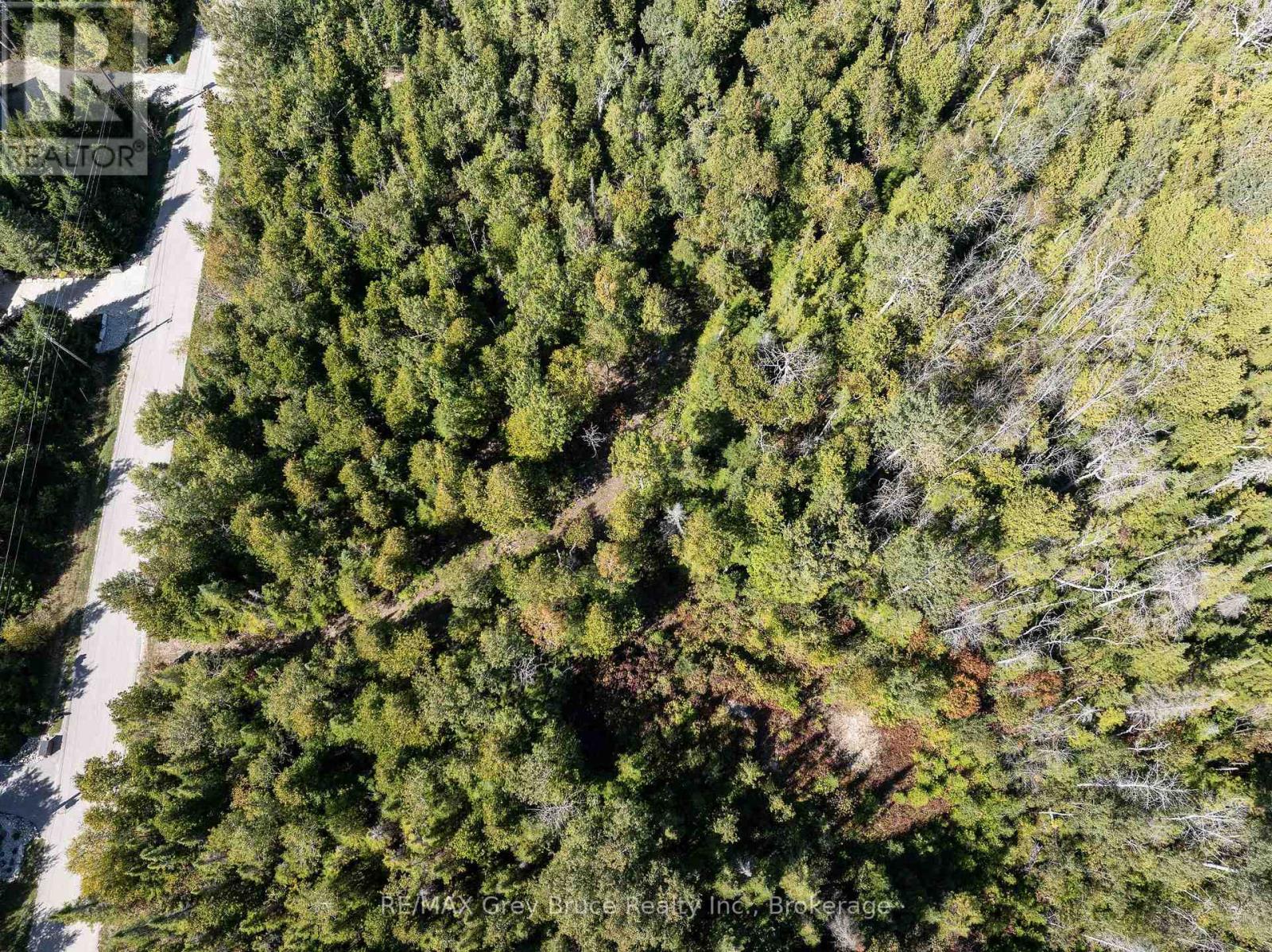 Part 2 Devils Glen, Northern Bruce Peninsula, Ontario  N0H 2T0 - Photo 20 - X12421771