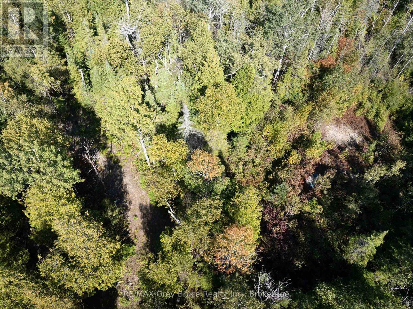 Part 2 Devils Glen, Northern Bruce Peninsula, Ontario  N0H 2T0 - Photo 21 - X12421771