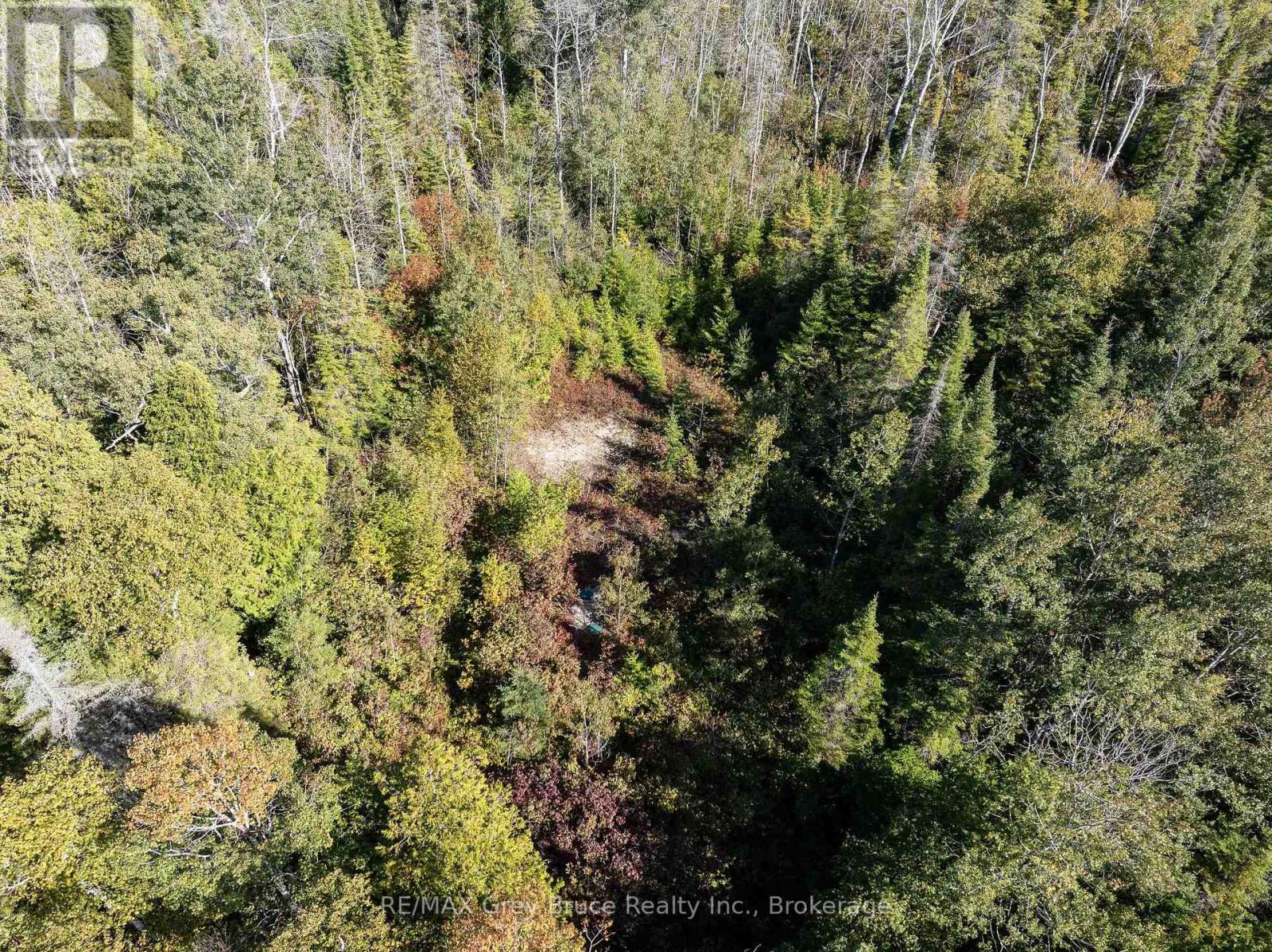 Part 2 Devils Glen, Northern Bruce Peninsula, Ontario  N0H 2T0 - Photo 23 - X12421771