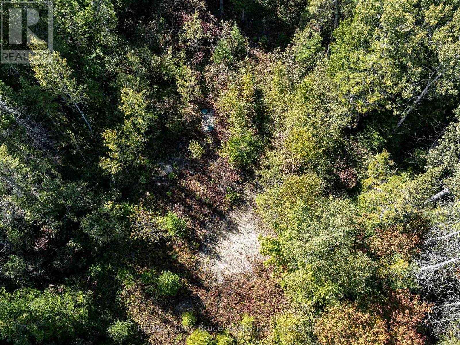 Part 2 Devils Glen, Northern Bruce Peninsula, Ontario  N0H 2T0 - Photo 24 - X12421771