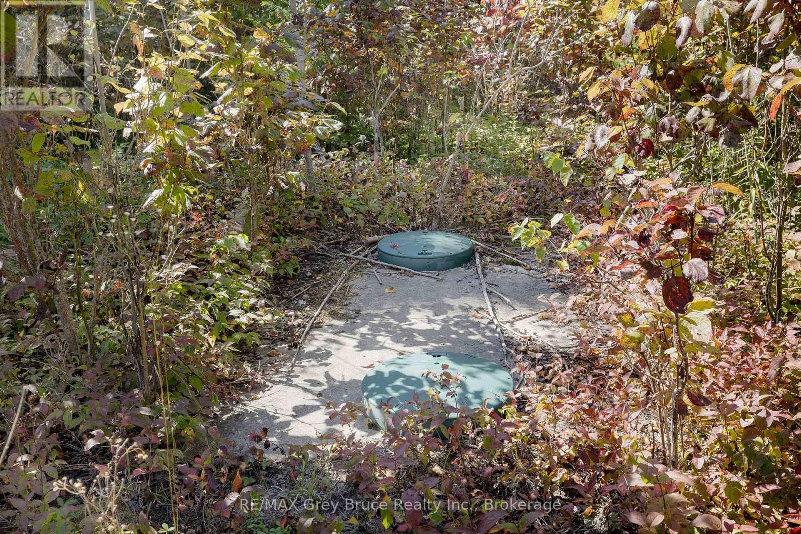 Part 2 Devils Glen, Northern Bruce Peninsula, Ontario  N0H 2T0 - Photo 26 - X12421771