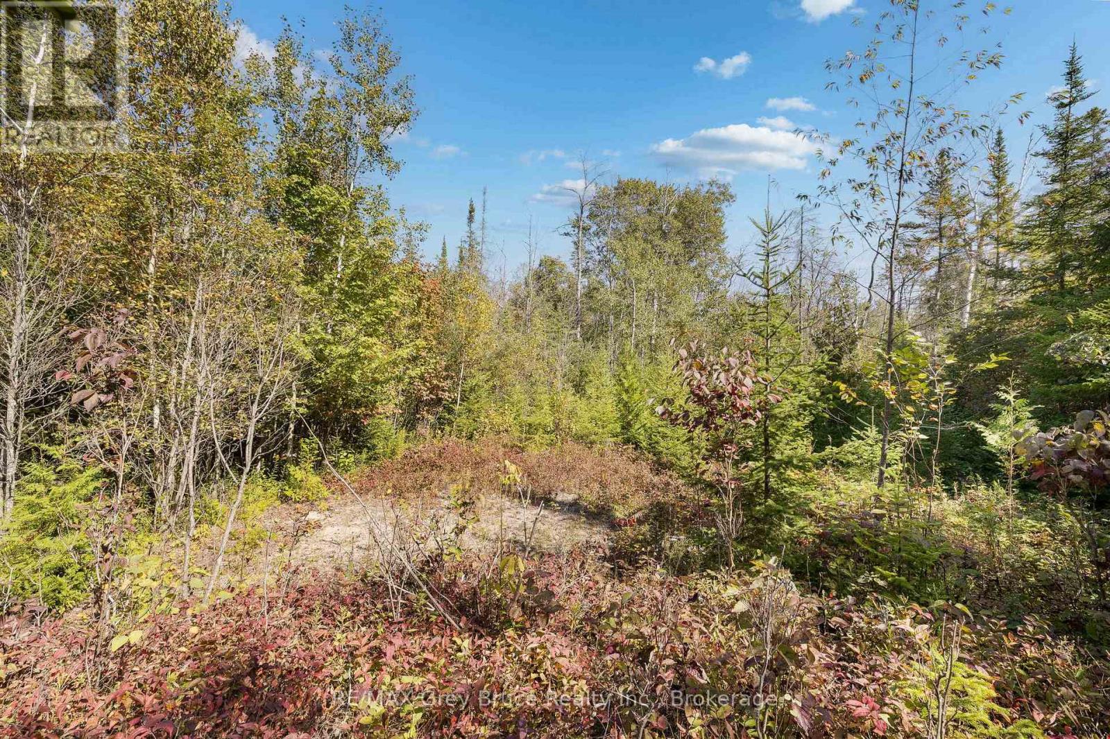 Part 2 Devils Glen, Northern Bruce Peninsula, Ontario  N0H 2T0 - Photo 27 - X12421771