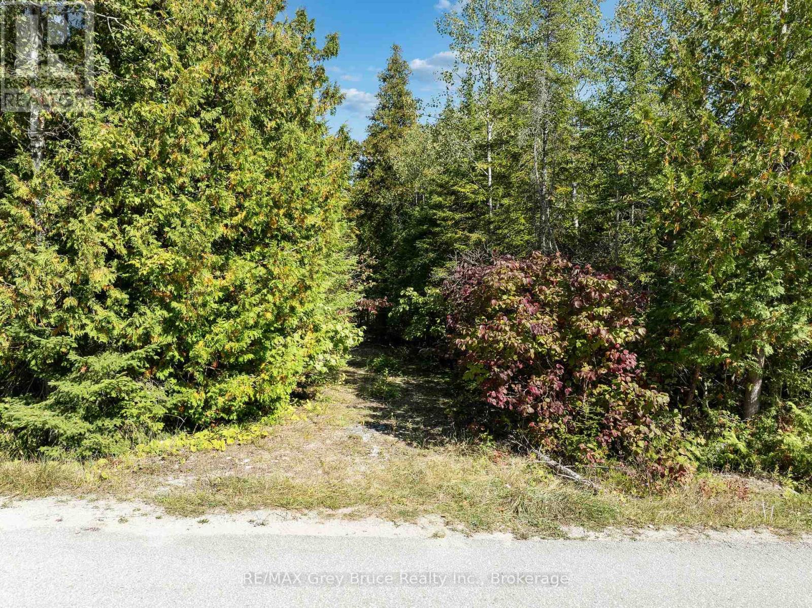Part 2 Devils Glen, Northern Bruce Peninsula, Ontario  N0H 2T0 - Photo 3 - X12421771