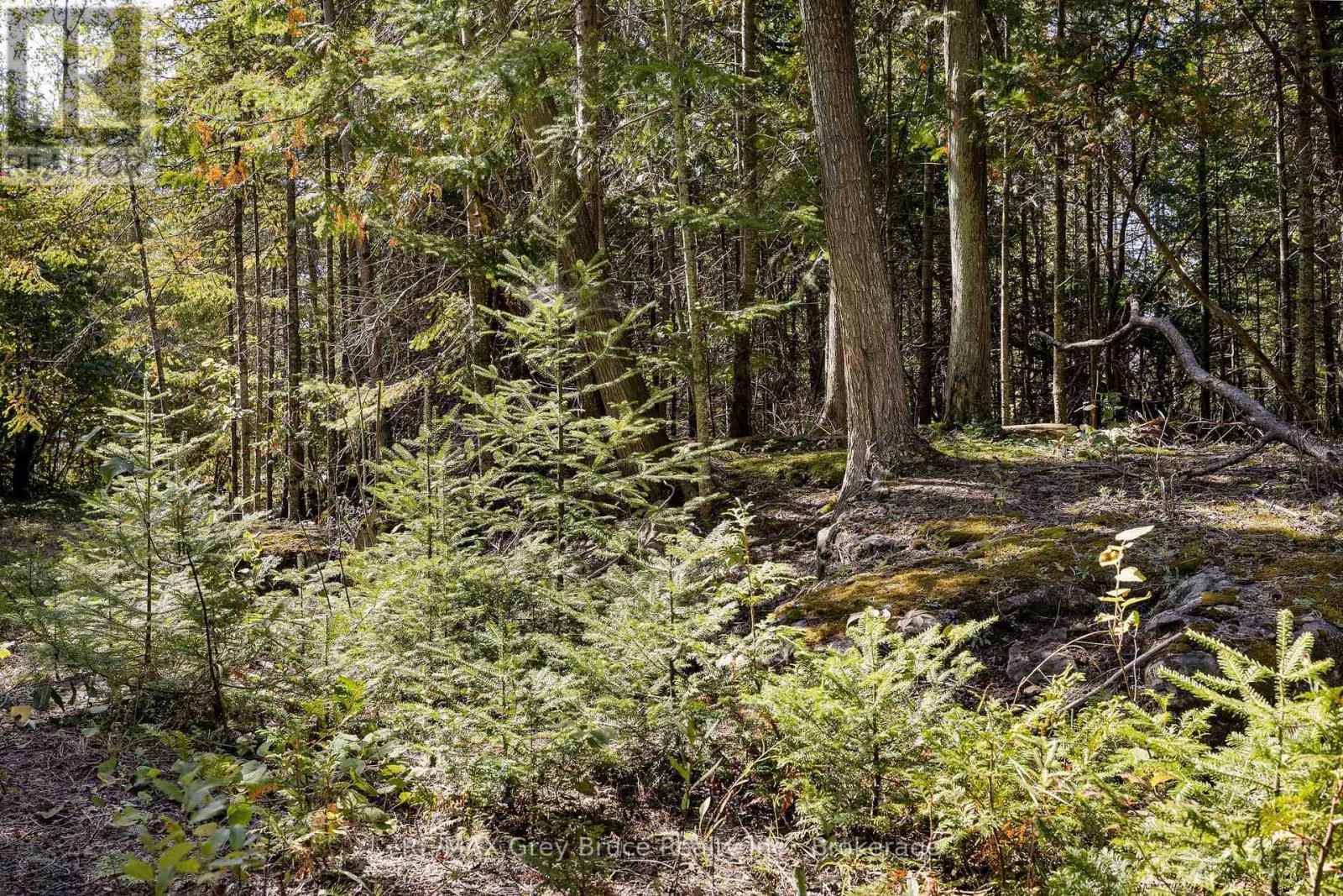 Part 2 Devils Glen, Northern Bruce Peninsula, Ontario  N0H 2T0 - Photo 30 - X12421771