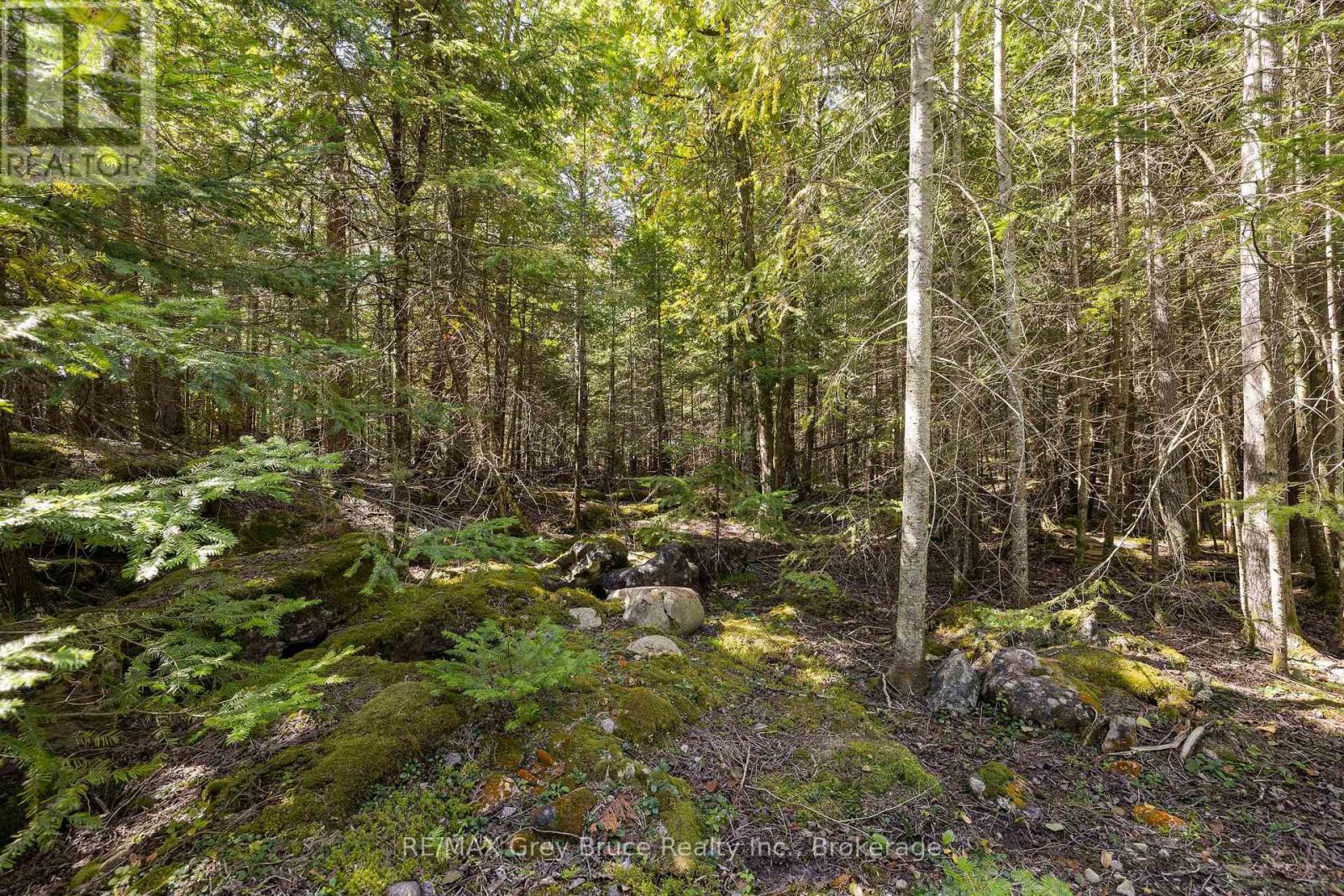 Part 2 Devils Glen, Northern Bruce Peninsula, Ontario  N0H 2T0 - Photo 31 - X12421771