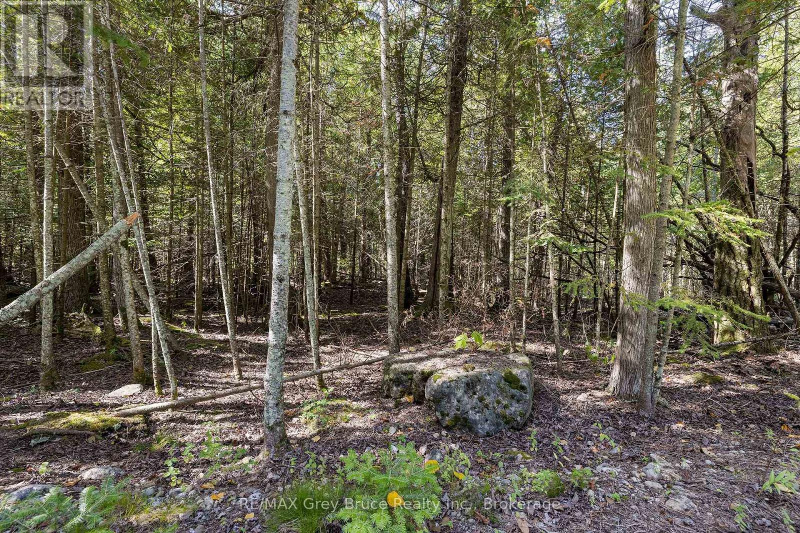 Part 2 Devils Glen, Northern Bruce Peninsula, Ontario  N0H 2T0 - Photo 32 - X12421771