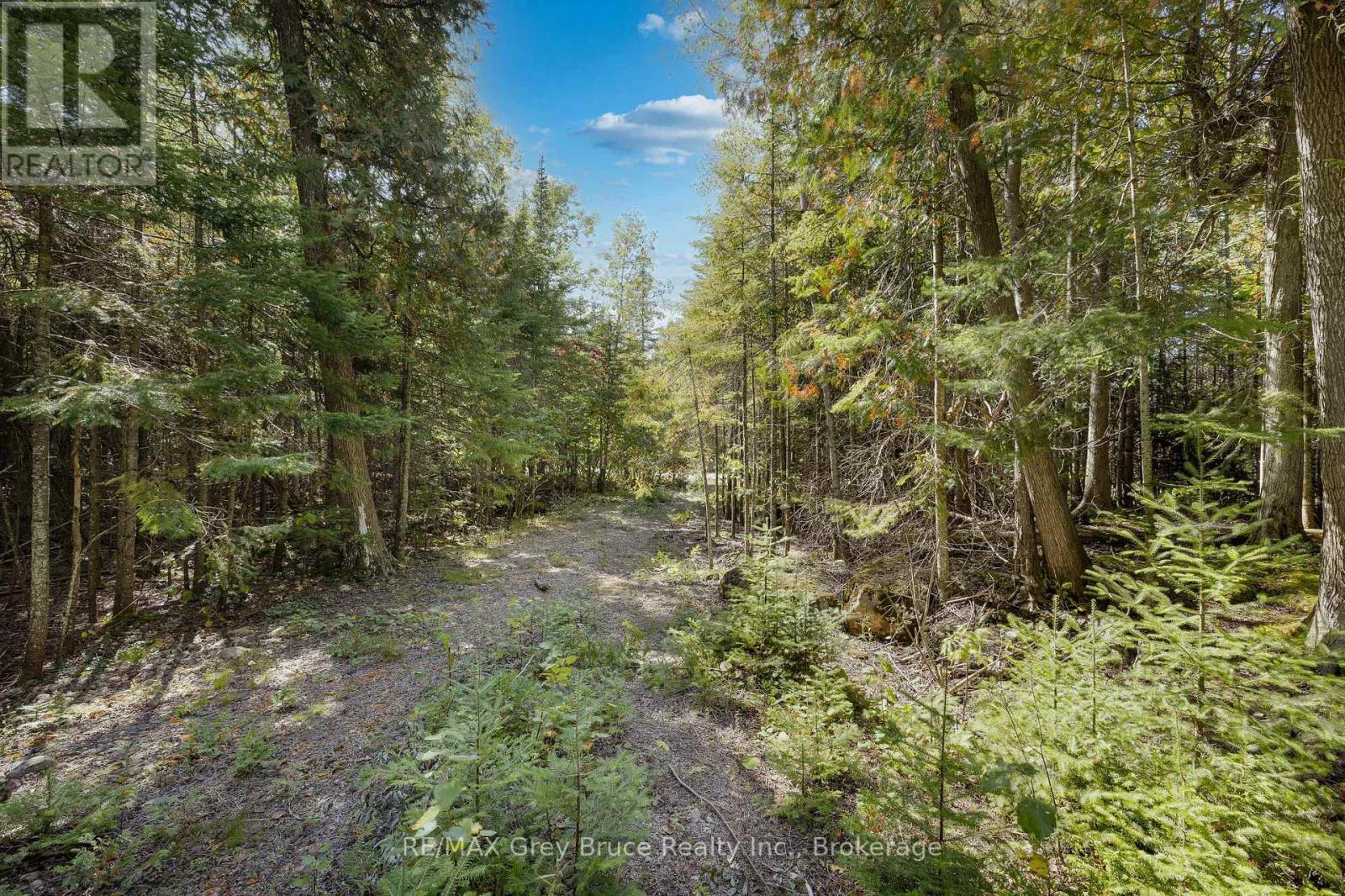 Part 2 Devils Glen, Northern Bruce Peninsula, Ontario  N0H 2T0 - Photo 33 - X12421771