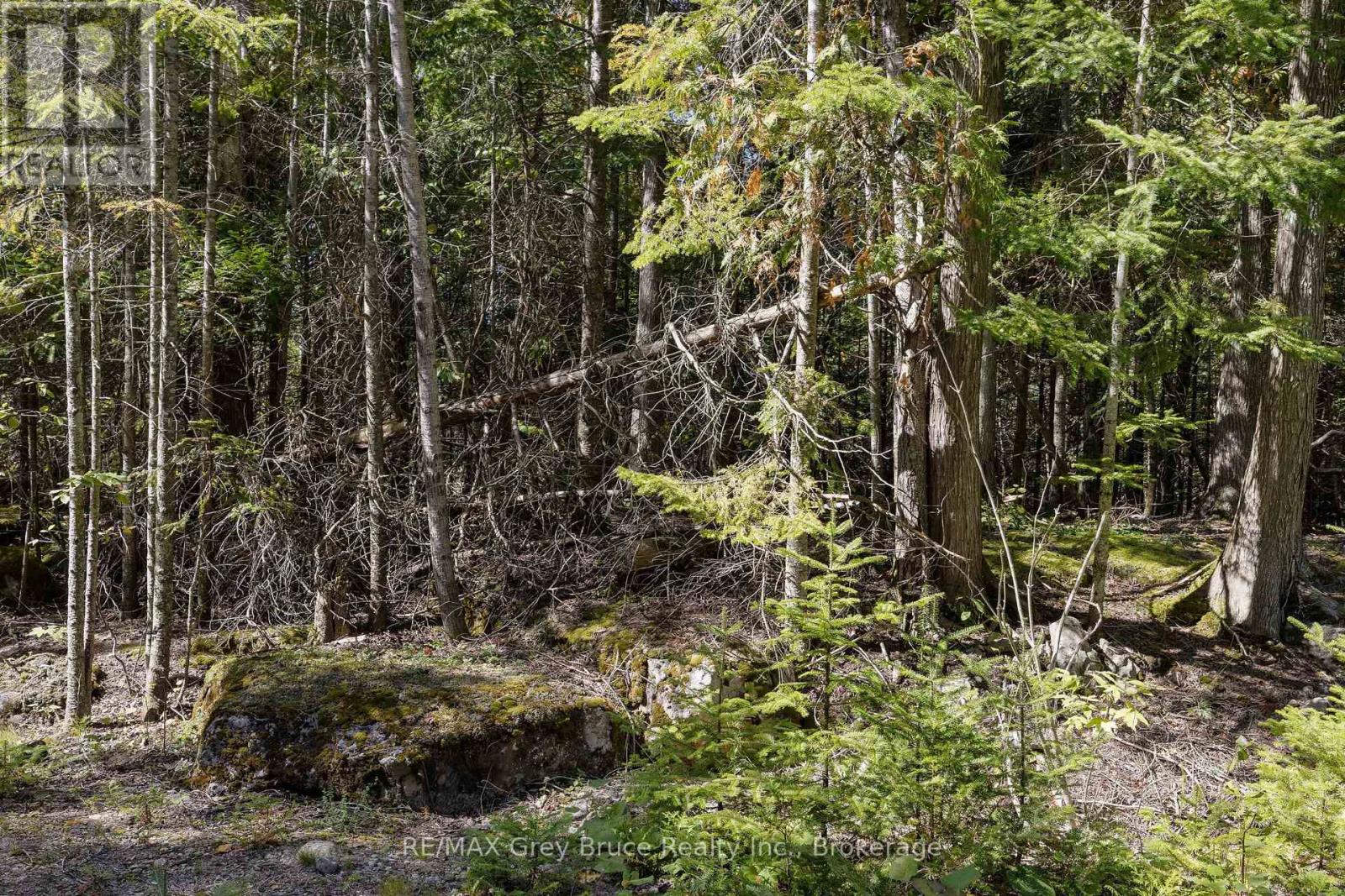 Part 2 Devils Glen, Northern Bruce Peninsula, Ontario  N0H 2T0 - Photo 5 - X12421771