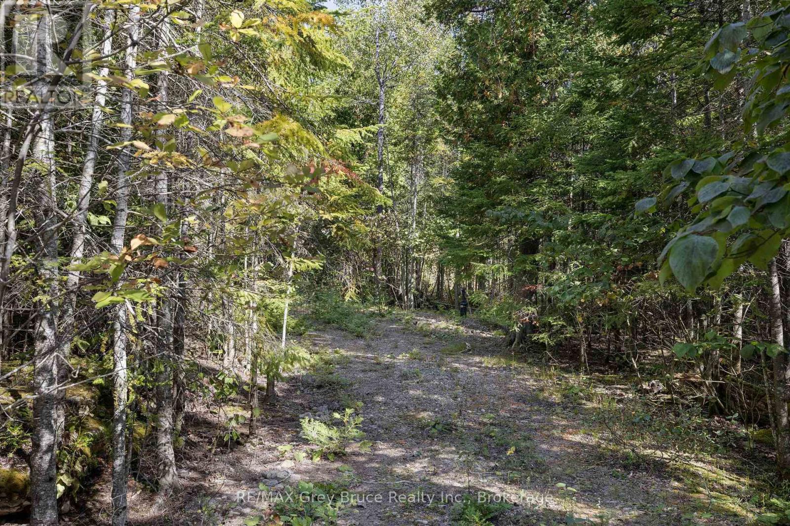 Part 2 Devils Glen, Northern Bruce Peninsula, Ontario  N0H 2T0 - Photo 6 - X12421771