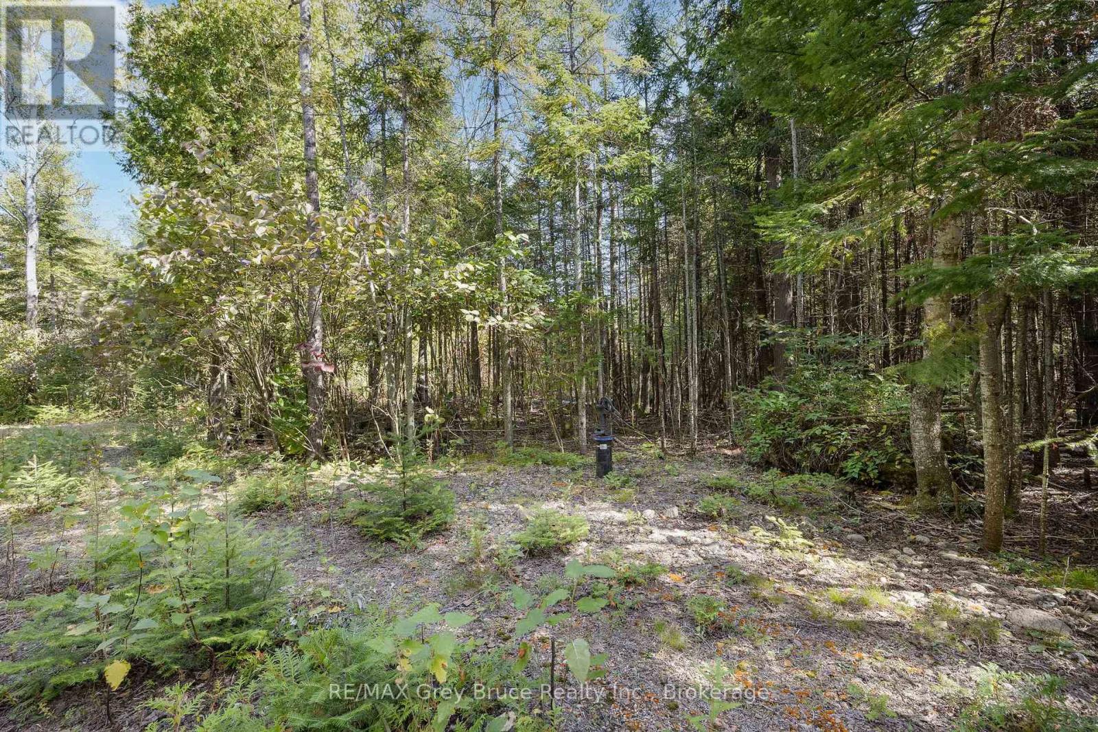 Part 2 Devils Glen, Northern Bruce Peninsula, Ontario  N0H 2T0 - Photo 8 - X12421771