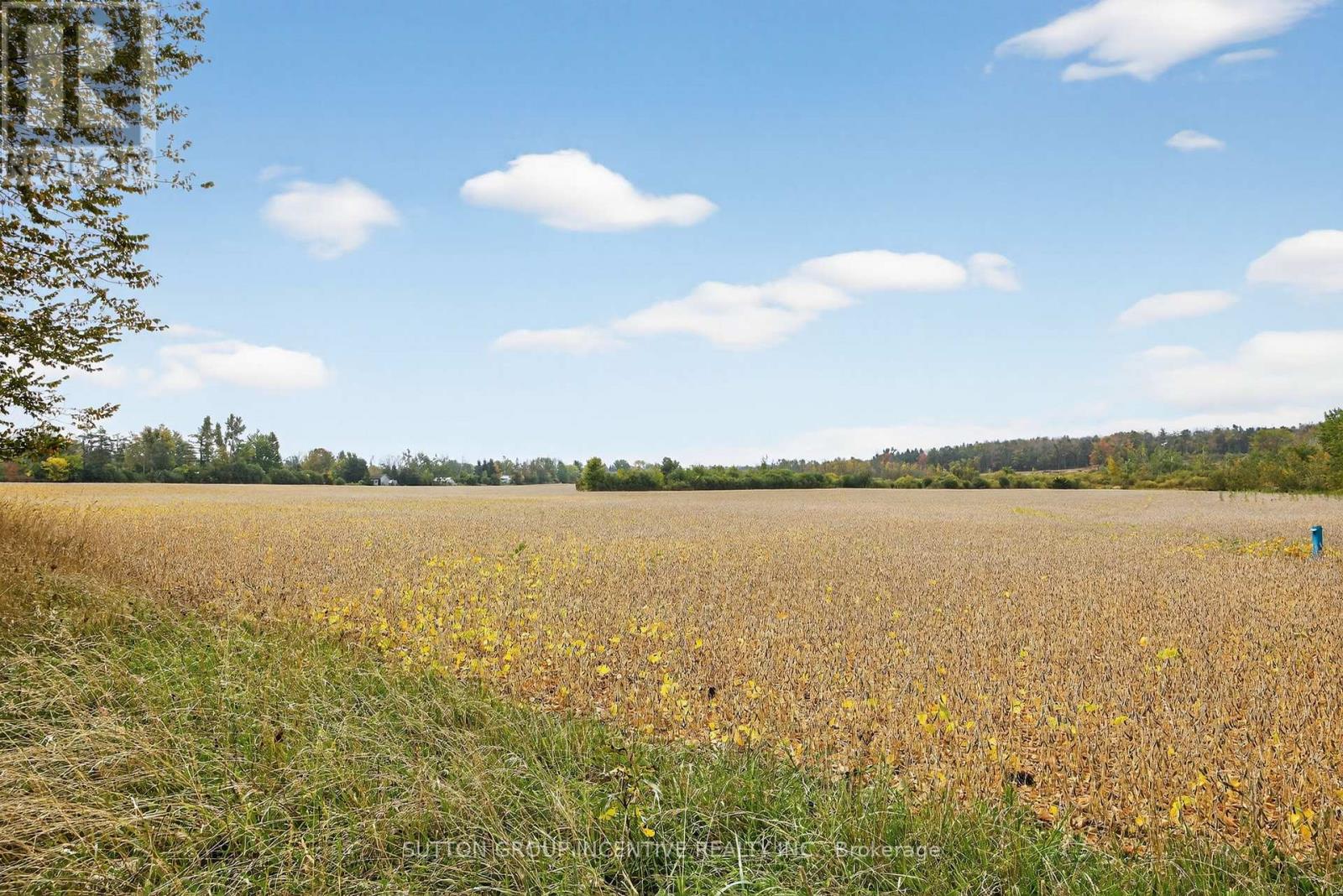 4652 Plum Point Road, Ramara, Ontario  L3V 0L4 - Photo 31 - S12421656