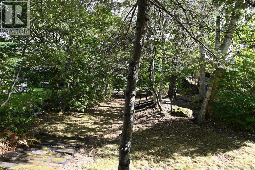 295 Montgomery Street, Fredericton, New Brunswick  E3B 2X2 - Photo 38 - NB127249