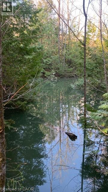 2724 River Road, Ompah, Ontario  K0H 2J0 - Photo 46 - 40772021