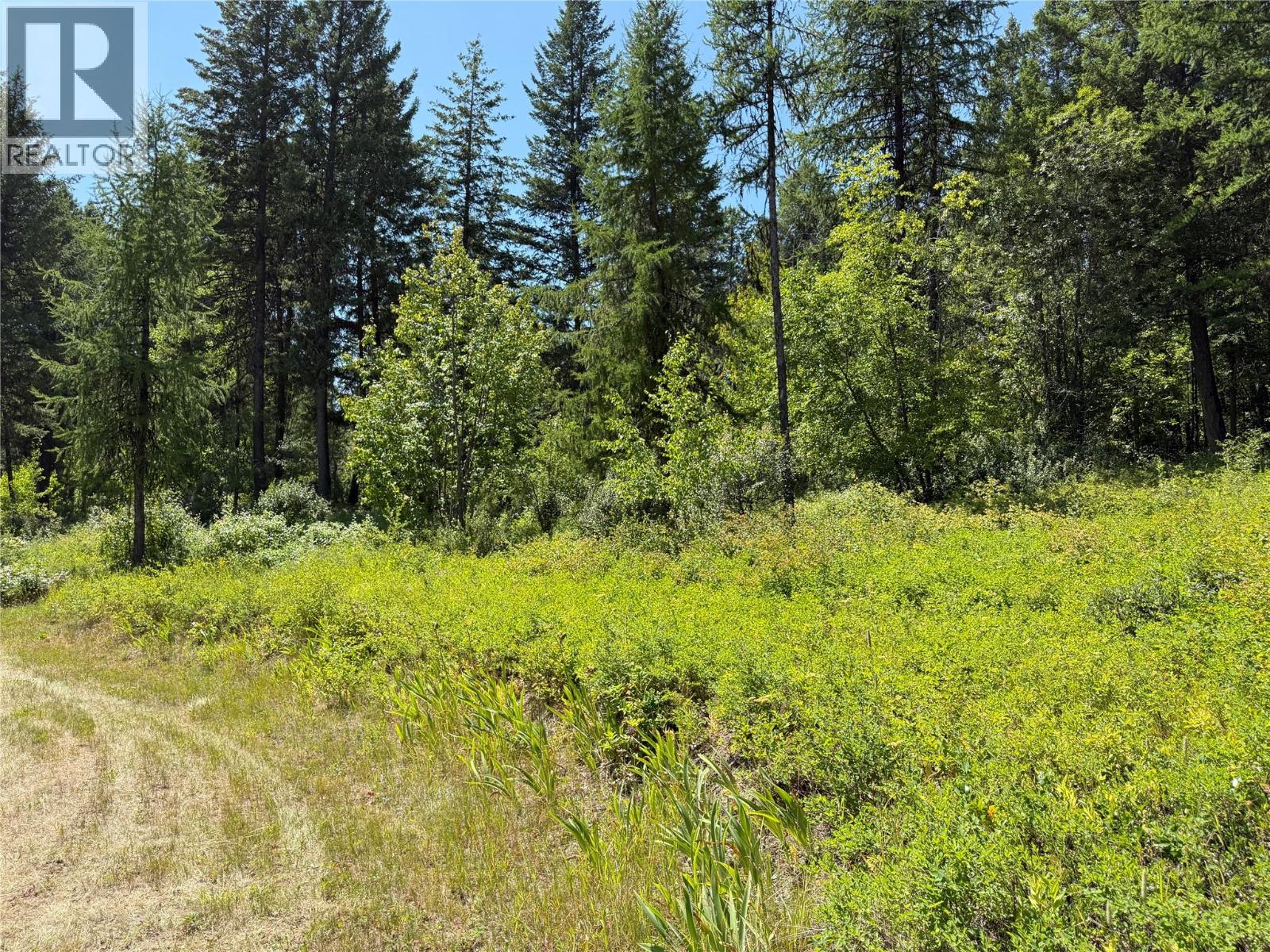 5200 Hardy Mountain Road, Grand Forks, British Columbia  V0H 1H2 - Photo 41 - 10356132