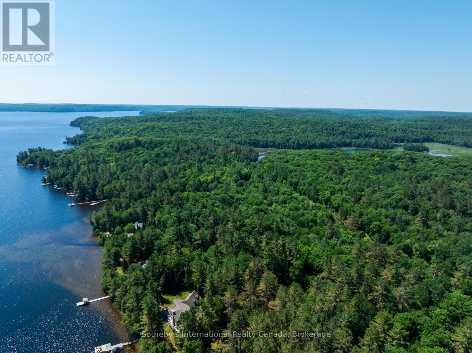 0 South Portage Road, Lake Of Bays, Ontario  L8H 6Z4 - Photo 6 - X12422092