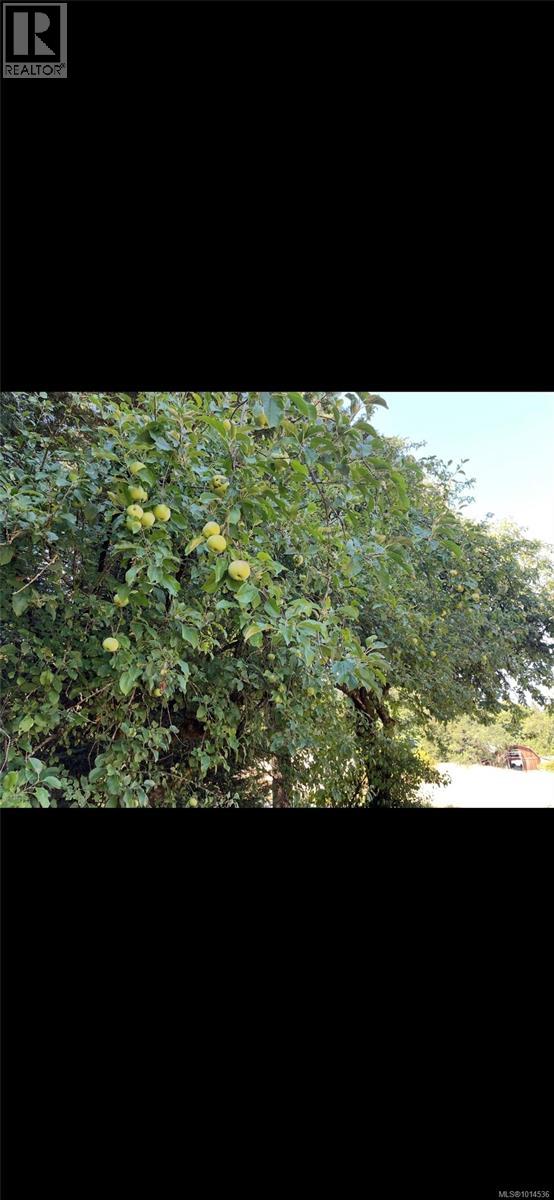3570 Auchinachie Rd, Duncan, British Columbia  V9L 4A4 - Photo 37 - 1014536
