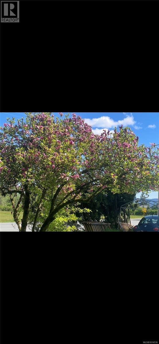 3570 Auchinachie Rd, Duncan, British Columbia  V9L 4A4 - Photo 38 - 1014536