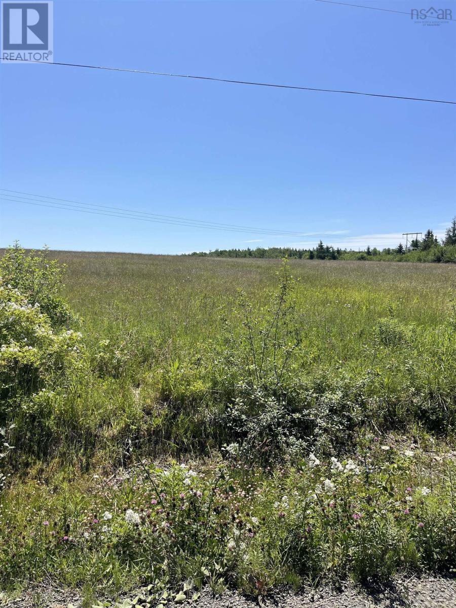 Lot Waldeck Line Road, Waldeck, Nova Scotia  B0S 1E0 - Photo 3 - 202516010