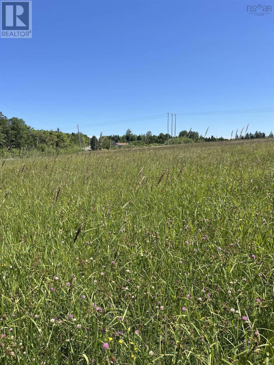 Lot Waldeck Line Road, Waldeck, Nova Scotia  B0S 1E0 - Photo 11 - 202516010