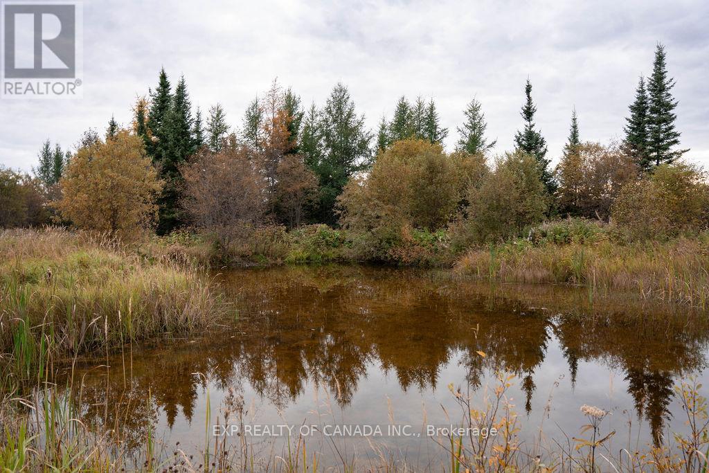 132 Highway No. 11 South Highway S, Cochrane, Ontario  P0L 1C0 - Photo 47 - T12422142