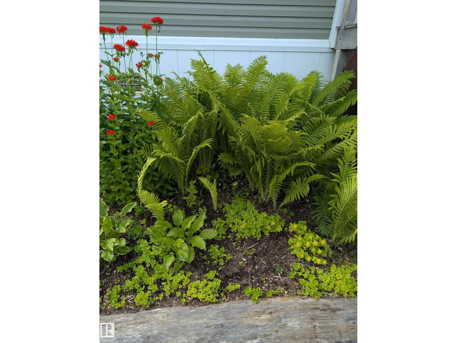 201 Glenhaven Cr, Rural Wetaskiwin County, Alberta  T0C 2C0 - Photo 13 - E4459086