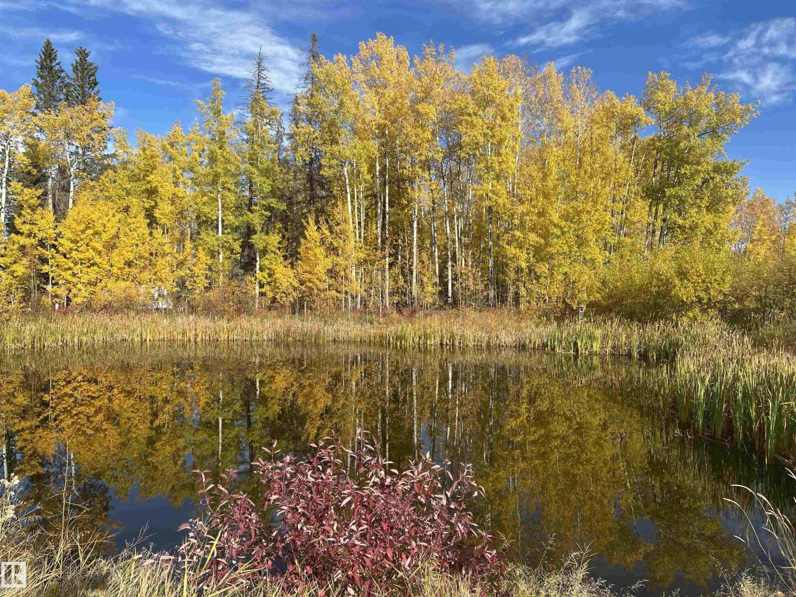 #7 Hauser’s Cove, Rural Wetaskiwin County, Alberta  T0C 0T0 - Photo 13 - E4459090